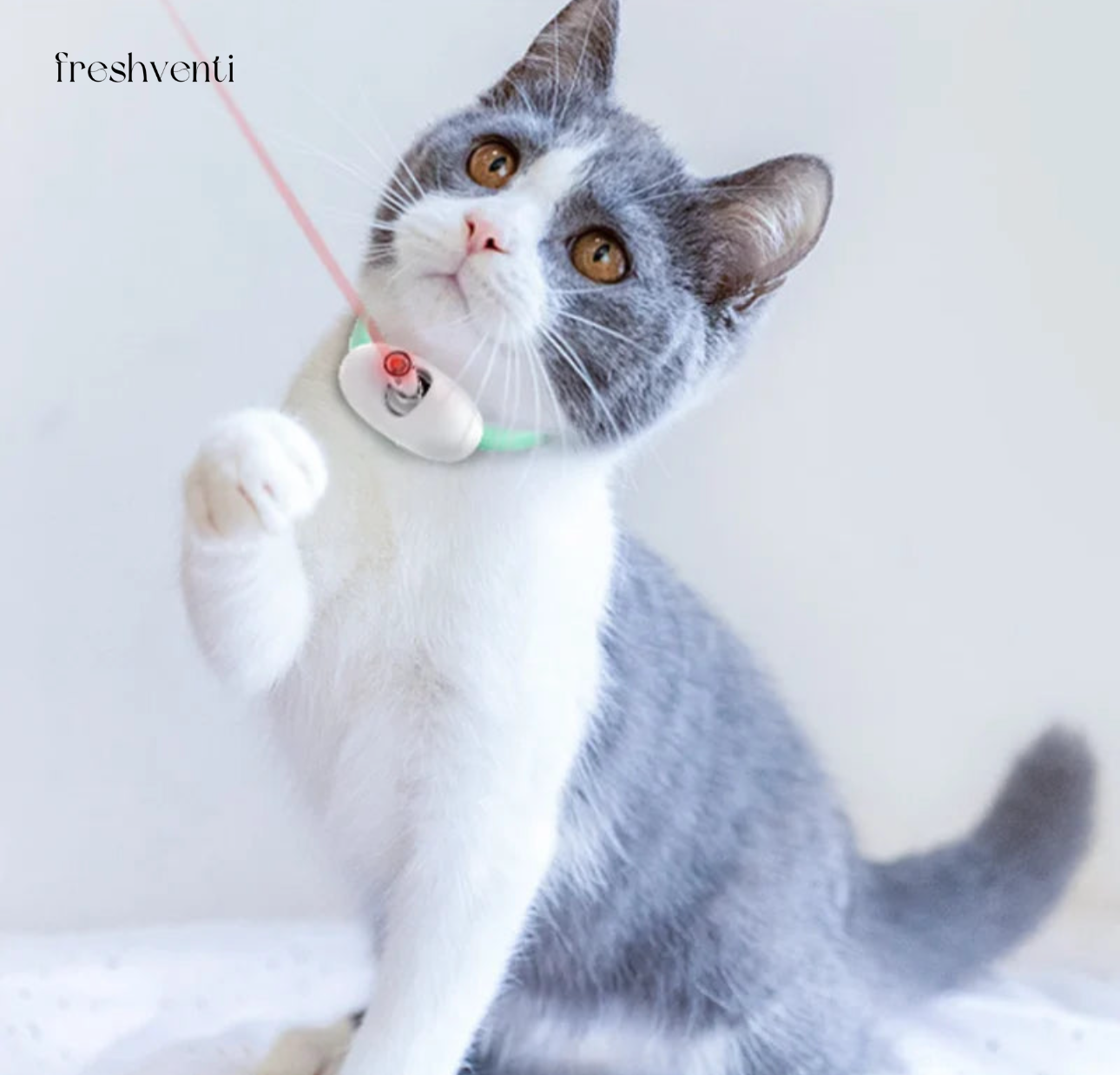Feliplay -Laserhalsband für Katzen