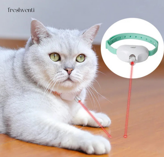 Feliplay -Laserhalsband für Katzen